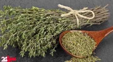 الزعتر ليس آمناً دائماً.. خبراء يكشفون عن أضراره الخفية وتأثيراته الجانبية الخطيرة